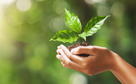 Energie- und Umweltmanagement bei Sonplas